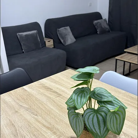 Apartman Barcares T2 Lagrange *